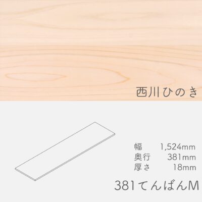 tenban_nisikawa_381M