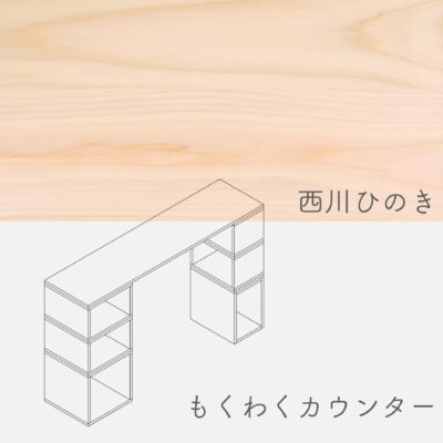 counter_nisikawa