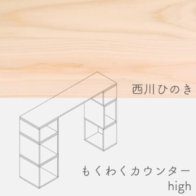 counterhigh_nisikawa