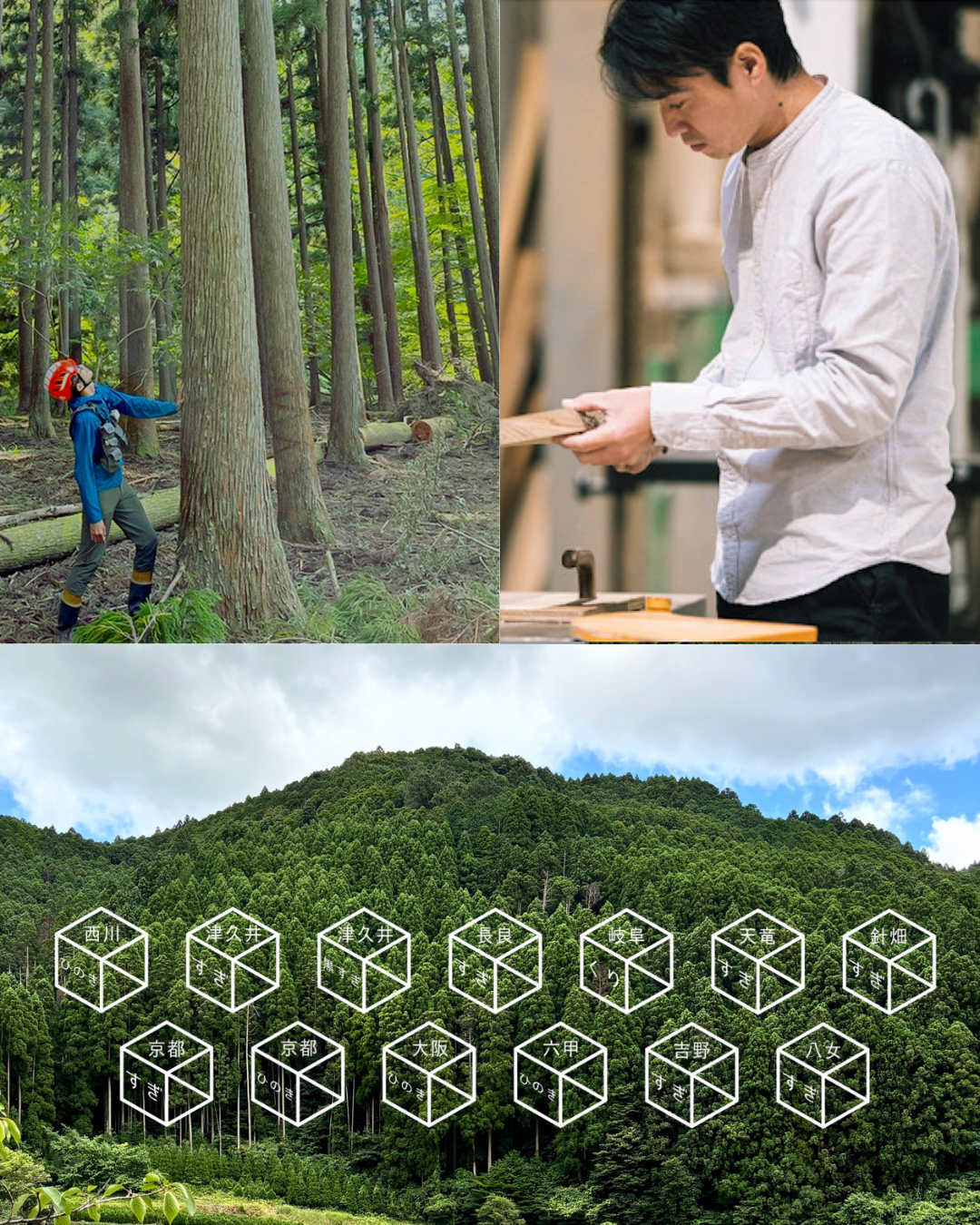 マルシェでのお買い物のように