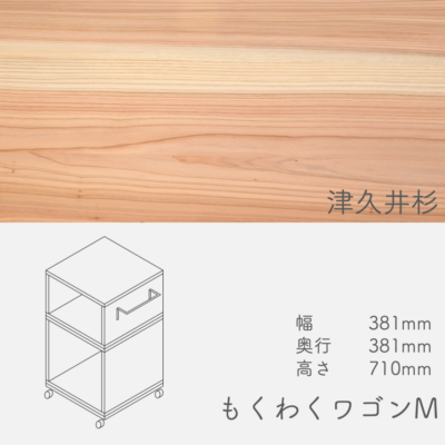 wagon_m_tsukuisugi
