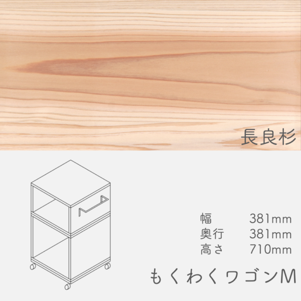 wagon_m_nagarasugi